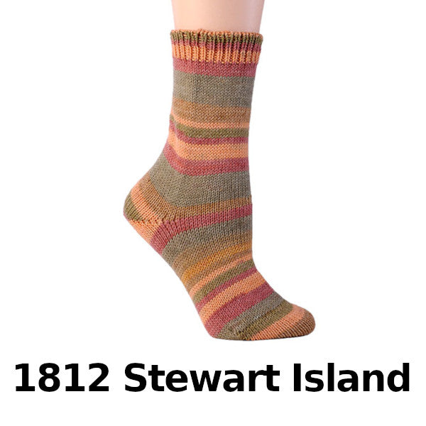 Sale Berroco Comfort Sock