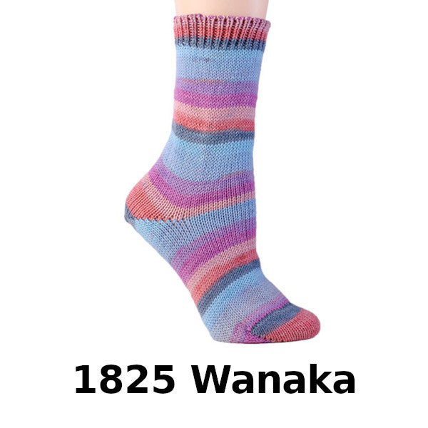 Sale Berroco Comfort Sock