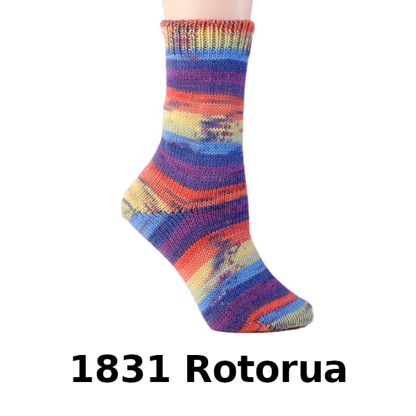 Sale Berroco Comfort Sock