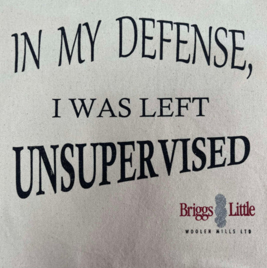 Briggs and Little Canvas Tote