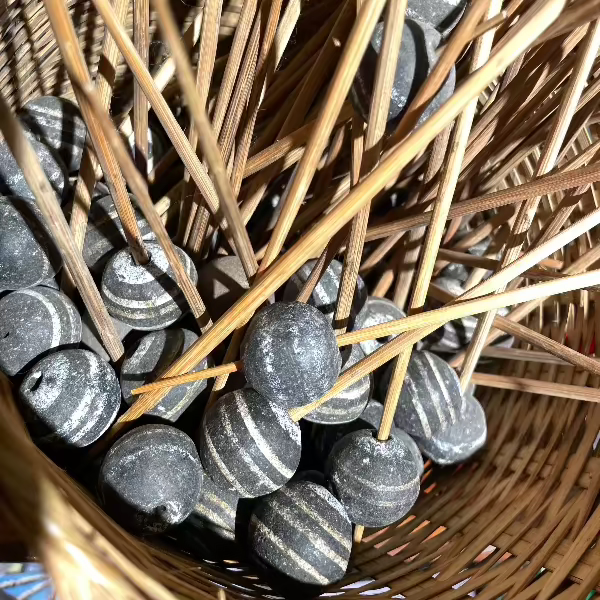 African Cotton Spindle