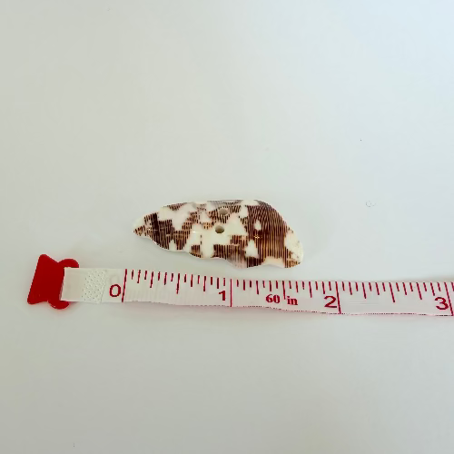Cone Shell button