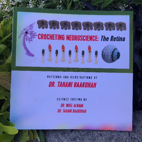 Crocheting Neuroscience: The Retina