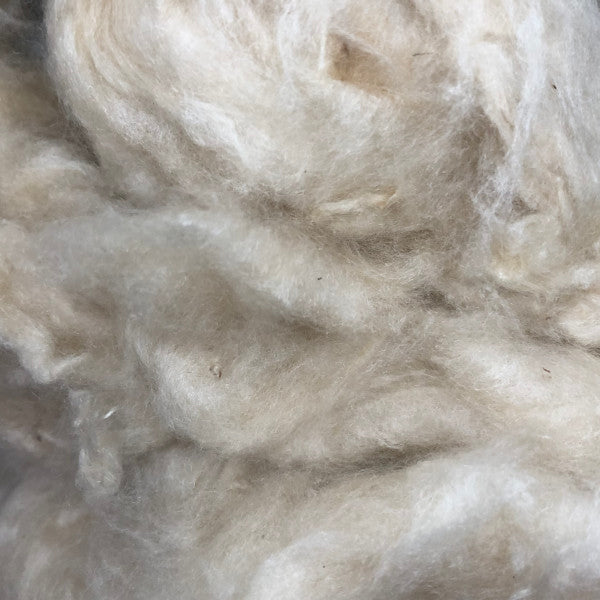Kapok Fibre