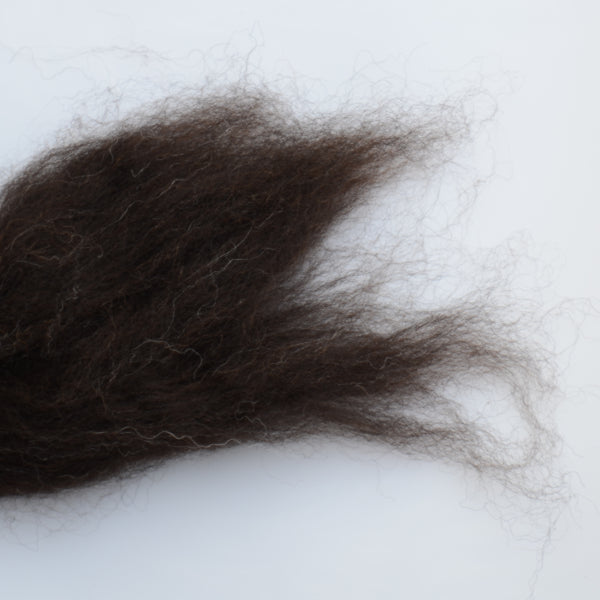 Zwartbles Wool Top