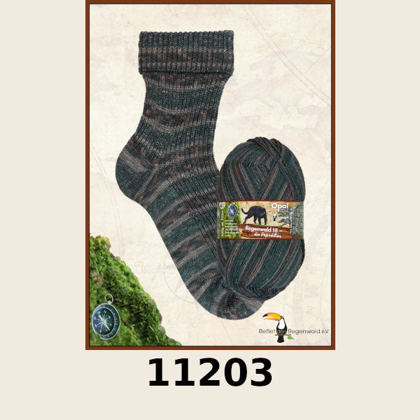 Opal Regenwald 18die Expedition