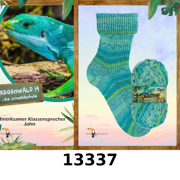 Opal Regenwald 19: Jungle School