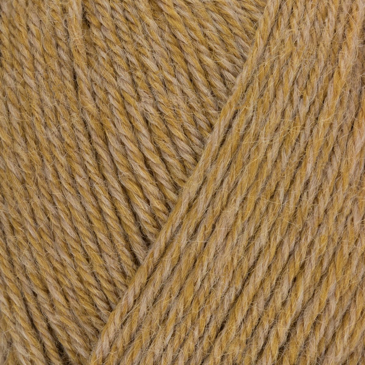 West Yorkshire Spinners Illustrious