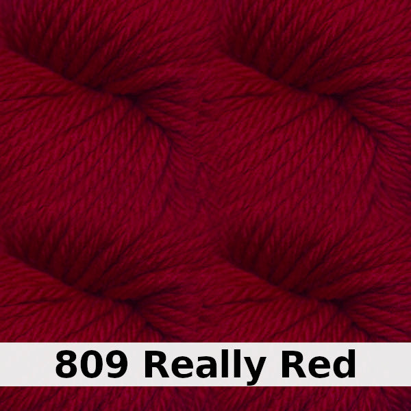 Cascade 220 Superwash Aran Merino