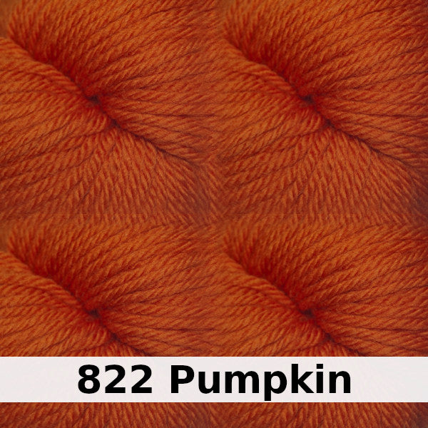 Cascade 220 Superwash Aran Merino