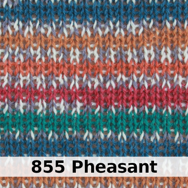 West Yorkshire Spinners Signature 4-ply - Country Birds