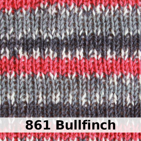 West Yorkshire Spinners Signature 4-ply - Country Birds