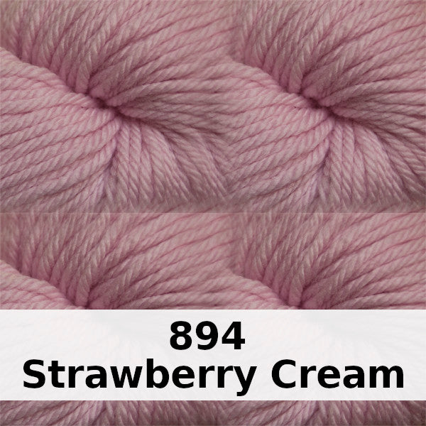 Cascade 220 Superwash Aran Merino