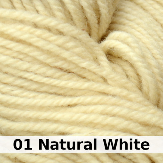 Briggs and Little Aran