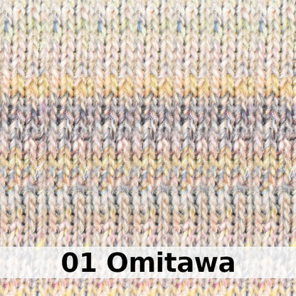 Noro Silk Garden Solo