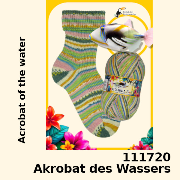 Opal Regenwald 22 4-fach - die Talendschmiede