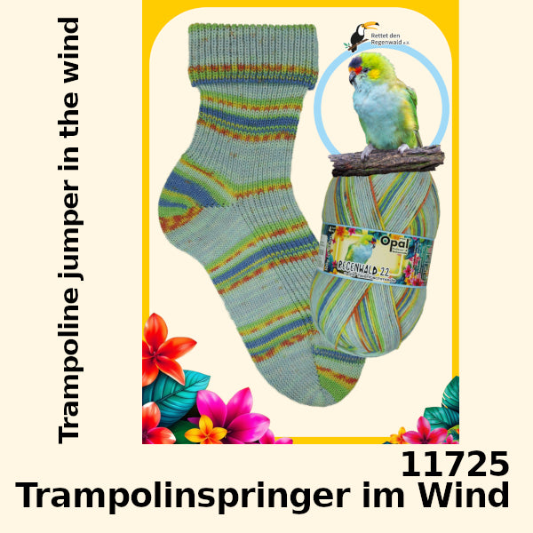 Opal Regenwald 22 4-fach - die Talendschmiede