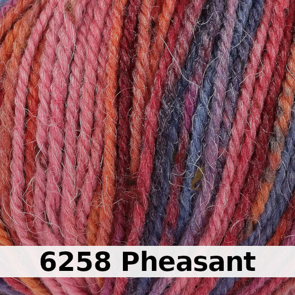 King Cole Homespun Prism Aran
