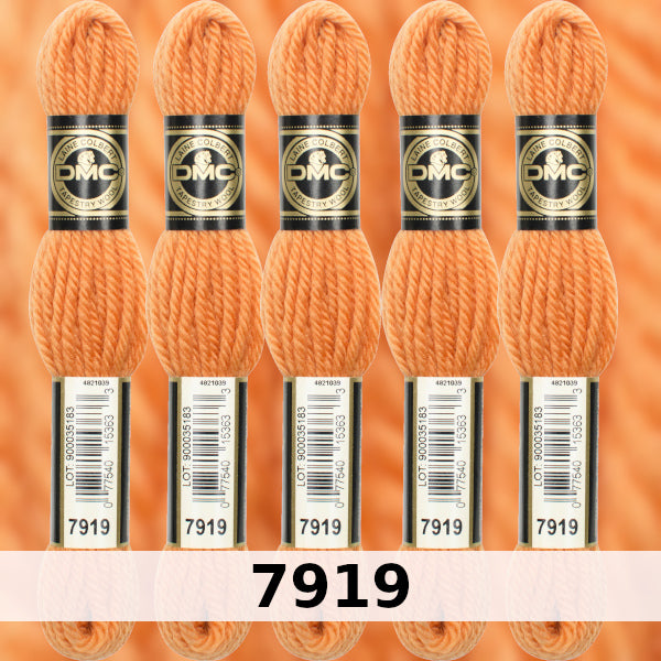 DMC Tapestry Wool 4 - Columns 13, 14, 15, and 16 on shade card