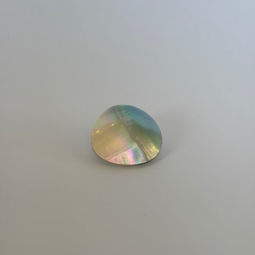 Domed Shell button