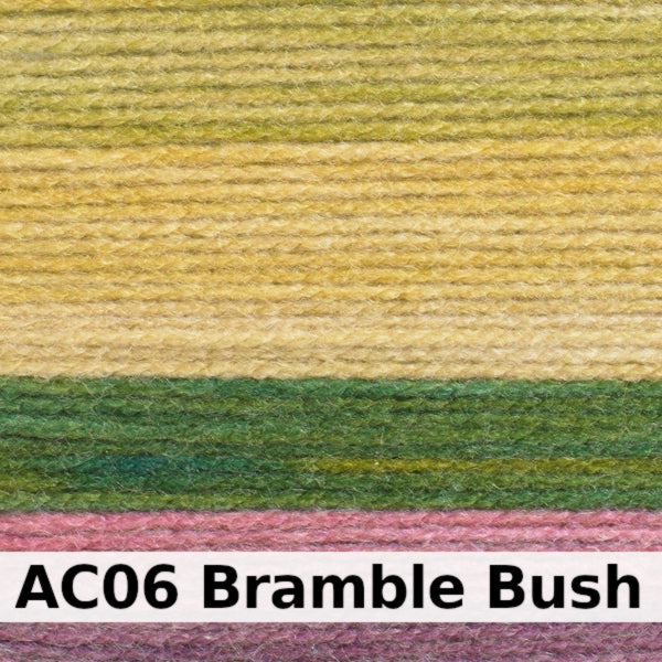 James C Brett Aurora Chunky