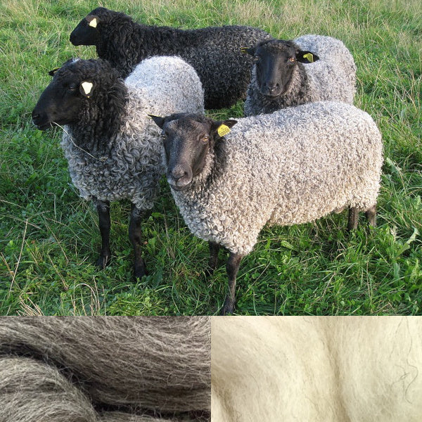 Gotland Wool Top
