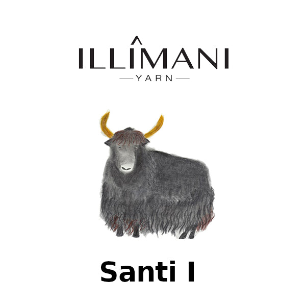 Illimani Santi