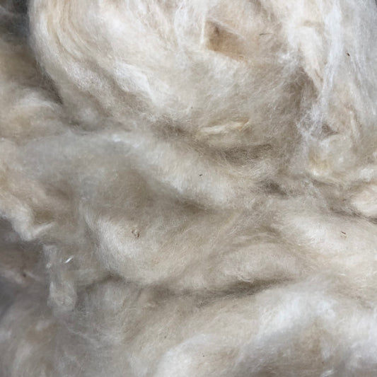Kapok Fibre