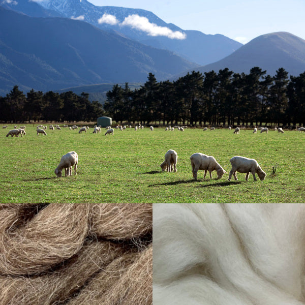 New Zealand Wool Top