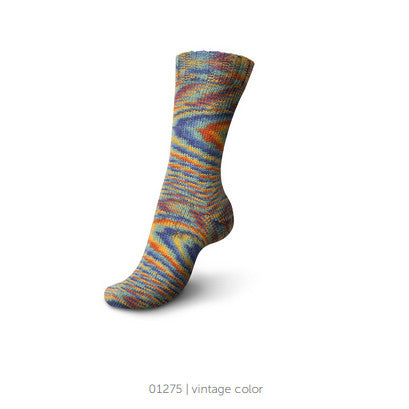 01275-vintage-color-regia-yarn-4-ply-sock-boho-color.jpg