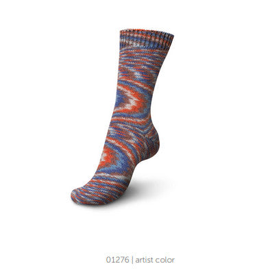01276-artist-color-regia-yarn-4-ply-sock-boho-color.jpg