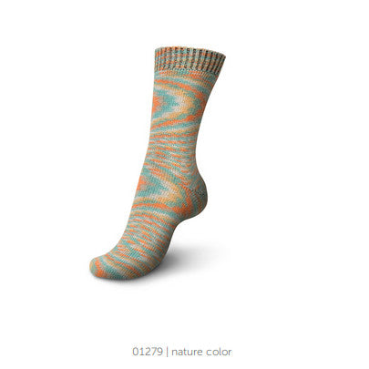 01279-nature-color-regia-yarn-4-ply-sock-boho-color.jpg