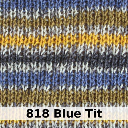 West Yorkshire Spinners Signature 4-ply - Country Birds