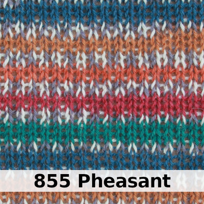 West Yorkshire Spinners Signature 4-ply - Country Birds