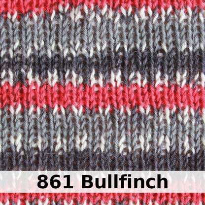 West Yorkshire Spinners Signature 4-ply - Country Birds