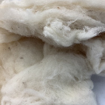 Briggs & Little Carded Wool