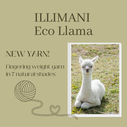 Illimani Eco Llama