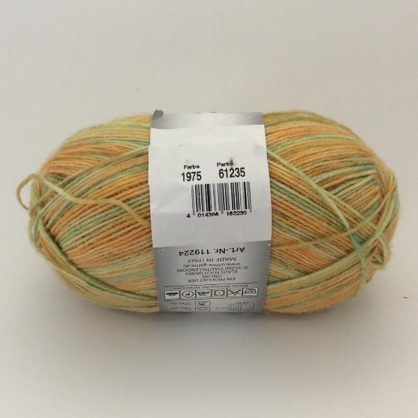 onLine oregon color sock yarn colour 1975