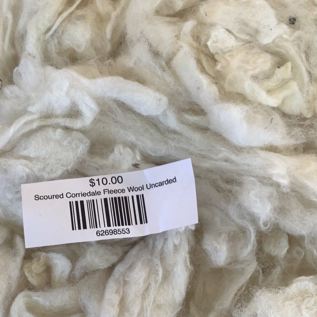 Scoured Corriedale Fleece Wool Uncarded