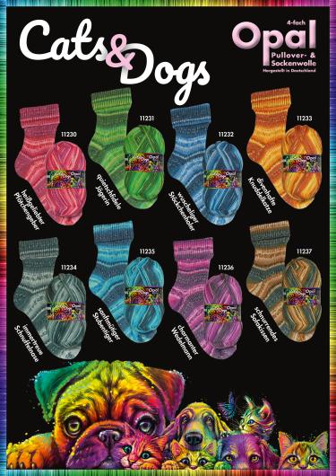 Opal Cats and Dogs