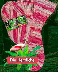 Opal Regenwald 16 -  Die Rasselbande