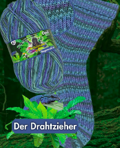 Opal Regenwald 16 -  Die Rasselbande