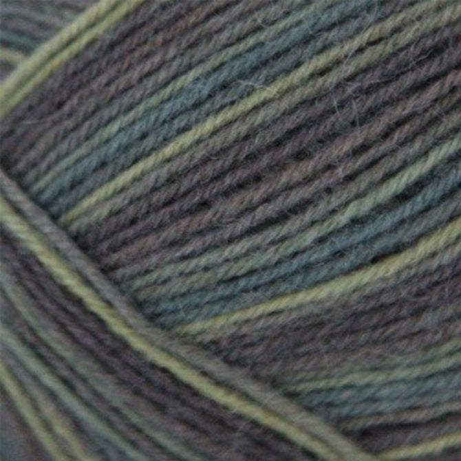 Regia 4-ply Color